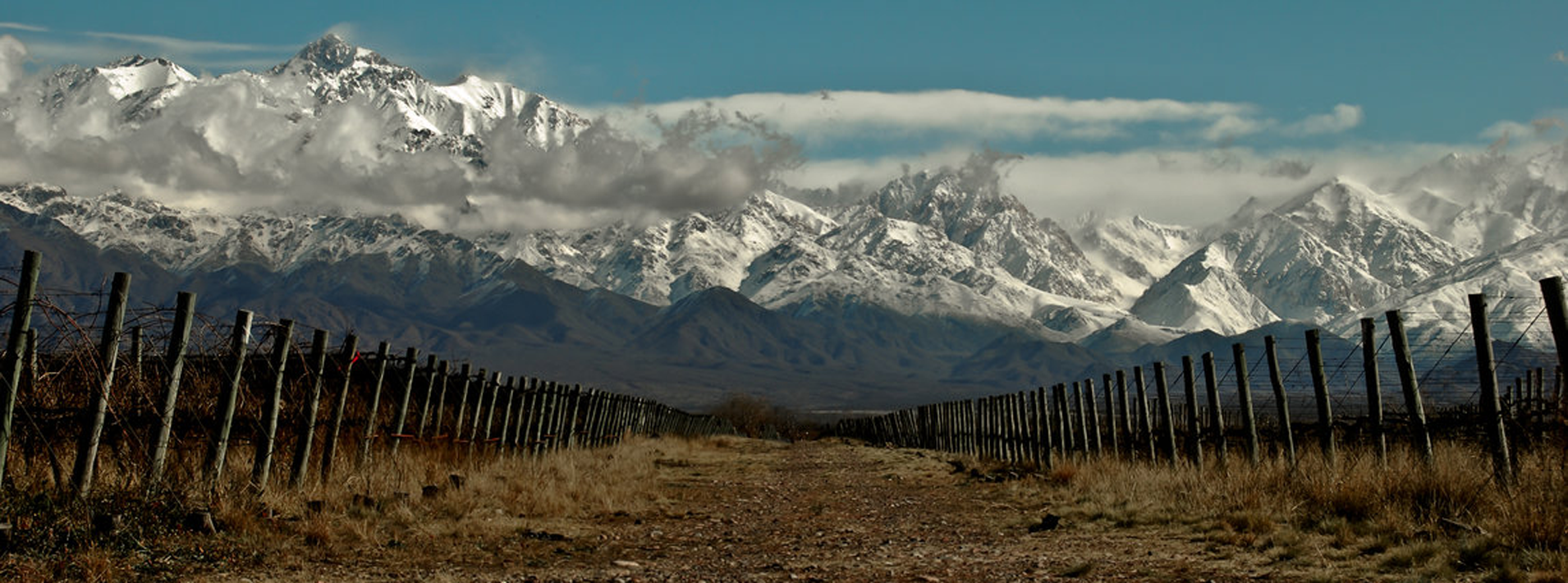 Bodega Piedra Negra